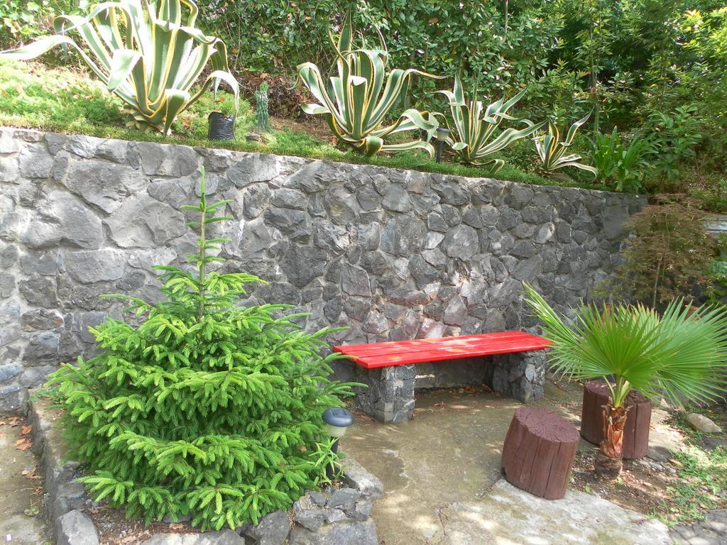 Holiday House Green Cape Batumi Hotel Mtsvane Konts'khi Ngoại thất bức ảnh
