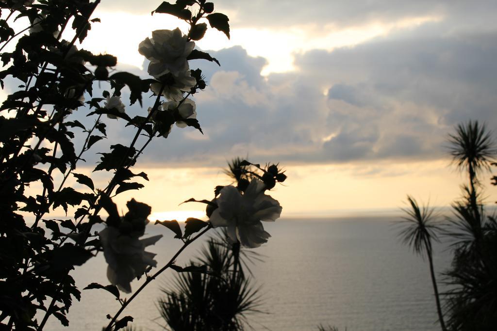 Holiday House Green Cape Batumi Hotel Mtsvane Konts'khi Ngoại thất bức ảnh
