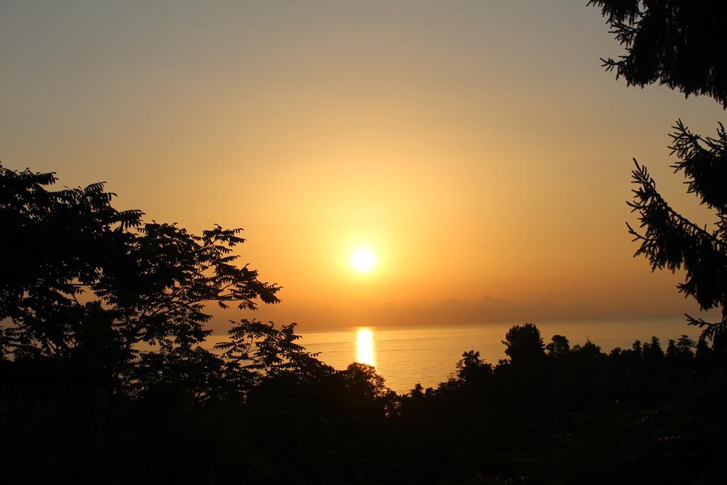 Holiday House Green Cape Batumi Hotel Mtsvane Konts'khi Ngoại thất bức ảnh