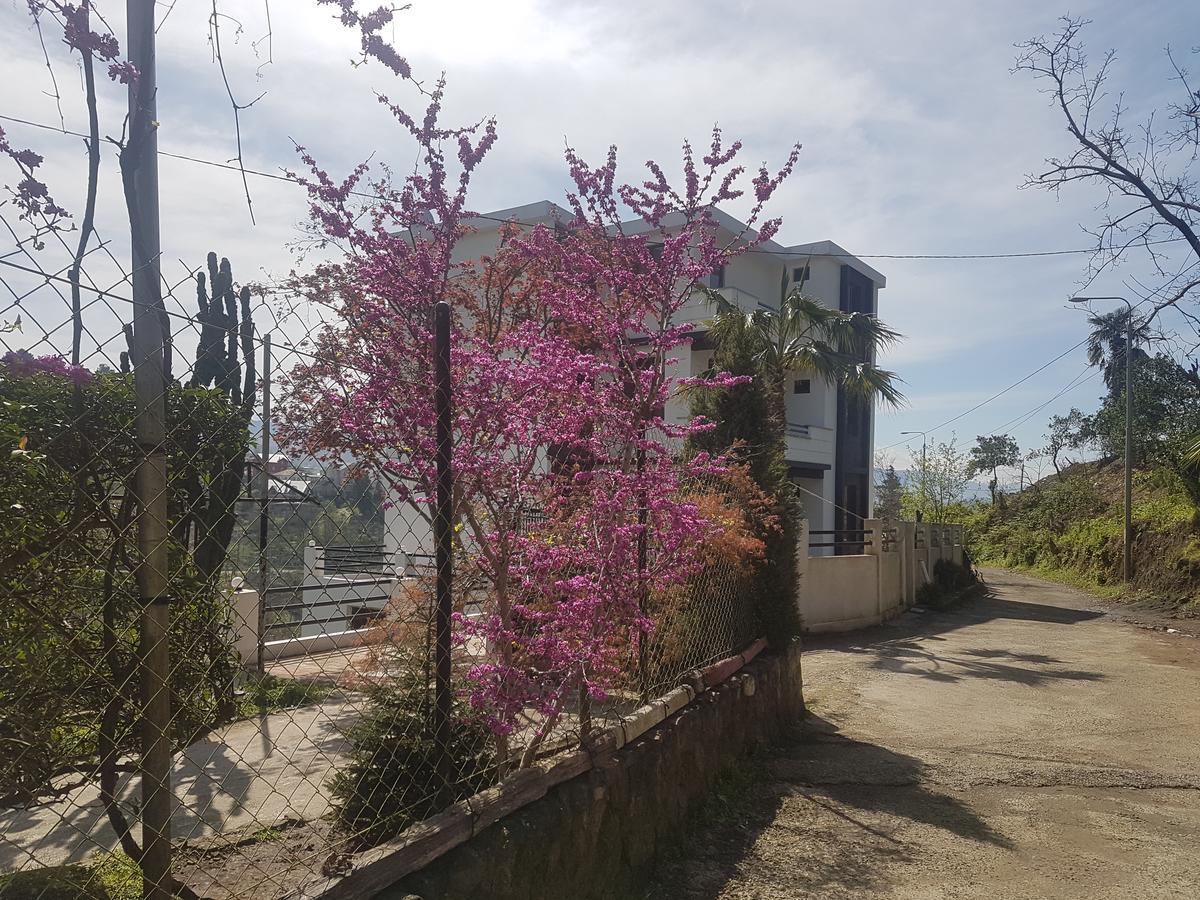 Holiday House Green Cape Batumi Hotel Mtsvane Konts'khi Ngoại thất bức ảnh